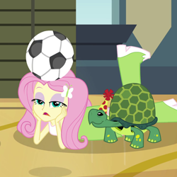 Size: 600x600 | Tagged: safe, imported from derpibooru, screencap, fluttershy, turtle, equestria girls, rainbow rocks, shake your tail, boots, cropped, female, football, hat, high heel boots, party hat