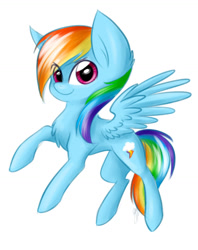 Size: 1024x1292 | Tagged: safe, artist:solweig, imported from derpibooru, rainbow dash, pony, chest fluff, female, solo