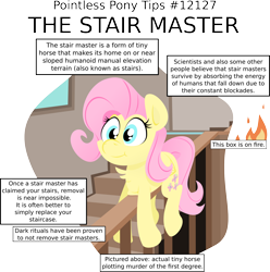 Size: 3142x3173 | Tagged: dead source, safe, artist:jittery-the-dragon, imported from derpibooru, fluttershy, captain obvious, chest fluff, cute, female, grimderp, pointless pony tips, prone, pun, solo, stairmaster, stairs