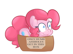 Size: 1280x953 | Tagged: safe, artist:mr-degration, edit, imported from derpibooru, pinkie pie, pony, :p, behaving like a cat, box, colored pupils, female, pony in a box, silly, simple background, solo, tongue out, transparent background, vulgar