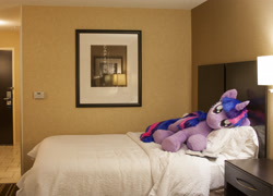 Size: 2695x1943 | Tagged: safe, artist:qtpony, imported from derpibooru, twilight sparkle, bed, book, hotel room, irl, life size, photo, plushie, solo