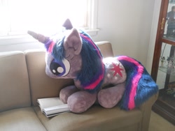 Size: 2048x1536 | Tagged: safe, artist:pmbsakura37, imported from derpibooru, twilight sparkle, book, irl, photo, plushie