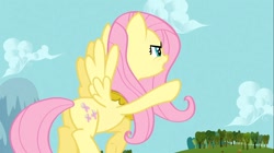 Size: 1100x618 | Tagged: safe, imported from derpibooru, screencap, fluttershy, pony, keep calm and flutter on, butt, female, mare, plot