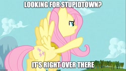 Size: 889x500 | Tagged: safe, edit, edited screencap, imported from derpibooru, screencap, fluttershy, keep calm and flutter on, element of kindness, female, image macro, jewelry, meme, pointing, regalia, solo