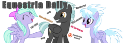 Size: 1000x350 | Tagged: safe, imported from derpibooru, cloudchaser, flitter, thunderlane, pegasus, pony, equestria daily, banner, commission, female, male, mare, patreon, patreon logo, simple background, stallion, transparent background