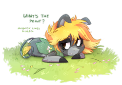 Size: 948x662 | Tagged: safe, artist:kyaokay, imported from derpibooru, oc, oc only, oc:fugly, mule, flower, sad, solo