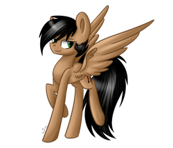 Size: 1024x881 | Tagged: safe, artist:despotshy, imported from derpibooru, oc, oc only, pegasus, pony, simple background, solo, transparent background