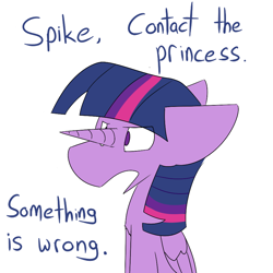 Size: 900x900 | Tagged: safe, artist:input-command, deleted from derpibooru, imported from derpibooru, twilight sparkle, alicorn, pony, dialogue, funny, horn, solo, twilight sparkle (alicorn)