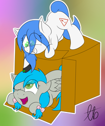 Size: 1525x1824 | Tagged: safe, artist:laptopbrony, imported from derpibooru, oc, oc only, oc:darcy sinclair, oc:mal, cardboard box, cute, poking