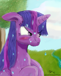 Size: 1200x1500 | Tagged: safe, artist:halflingpony, imported from derpibooru, twilight sparkle, alicorn, pony, angry, blushing, female, floppy ears, frown, glare, pouting, solo, twilight sparkle (alicorn), water, wet, wet mane