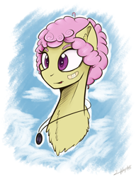 Size: 1500x1950 | Tagged: safe, artist:silverhopexiii, imported from derpibooru, oc, oc only, oc:cloudpuff, jewelry, necklace, portrait, solo