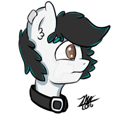 Size: 1024x1024 | Tagged: safe, artist:zuri-the-pony, imported from derpibooru, oc, oc only, oc:zuri, pegasus, pony, brown eyes, collar, digital art, ear fluff, fluffy, male, portrait, profile, solo, watermark