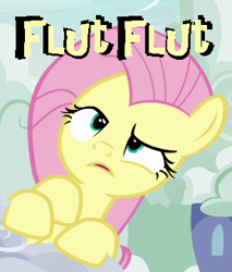 Size: 307x360 | Tagged: safe, imported from derpibooru, fluttershy, caption, female, image macro, meme, solo