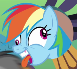 Size: 436x388 | Tagged: safe, imported from derpibooru, screencap, rainbow dash, pony, stranger than fan fiction, didney worl, faic, female, flehmen response, hoers, horses doing horse things, mare, solo, teeth, tongue out, wat