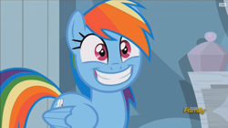 Size: 914x512 | Tagged: safe, imported from derpibooru, screencap, rainbow dash, pony, stranger than fan fiction, discovery family logo, female, mare, smiling, solo