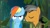 Size: 896x500 | Tagged: safe, edit, edited screencap, imported from derpibooru, screencap, quibble pants, rainbow dash, earth pony, pegasus, pony, stranger than fan fiction, discovery family logo, female, hail hydra, image macro, male, mare, meme, stallion