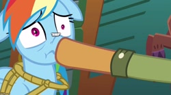 Size: 902x500 | Tagged: safe, edit, edited screencap, imported from derpibooru, screencap, quibble pants, rainbow dash, stranger than fan fiction, boop, boop edit, image macro, meme