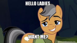 Size: 800x450 | Tagged: safe, edit, edited screencap, imported from derpibooru, screencap, quibble pants, earth pony, pony, stranger than fan fiction, caption, image macro, makeameme.org, male, meme, solo, stallion, stupid sexy quibble pants