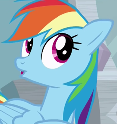 Size: 313x331 | Tagged: safe, imported from derpibooru, screencap, rainbow dash, pony, stranger than fan fiction, cute, female, mare, solo