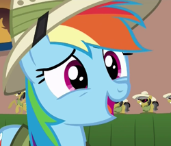 Size: 389x331 | Tagged: safe, imported from derpibooru, screencap, rainbow dash, pegasus, pony, stranger than fan fiction, cute, dashabetes, female, hat, mare, open mouth, solo