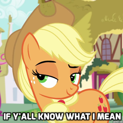 Size: 720x720 | Tagged: safe, imported from derpibooru, screencap, applejack, earth pony, pony, female, if you know what i mean, lidded eyes, mare, meme, ponified meme, reaction image, solo, y'all