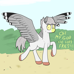 Size: 1700x1700 | Tagged: safe, artist:bojangleee, imported from derpibooru, oc, oc only, oc:skipper, bird pone, seagull, bush, herring gull, spread wings, sweat, text