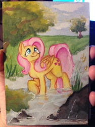 Size: 2448x3264 | Tagged: safe, artist:whale, imported from derpibooru, fluttershy, brook, cloud, creek, female, field, grass, looking up, nature, outdoors, raised hoof, rock, scenery, sky, solo, traditional art, tree, water