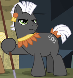 Size: 444x476 | Tagged: safe, imported from derpibooru, screencap, earth pony, pony, daring don't, aztec, background pony, boulder crush, cottonwood spear, cropped, hoof hold, male, solo, stallion, tribal pony, unnamed pony