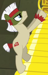 Size: 210x324 | Tagged: safe, imported from derpibooru, screencap, earth pony, pony, daring don't, aztec, background pony, bodypaint, cropped, male, rings of scorchero, solo, spiral serpent, stallion, tribal pony, unnamed pony