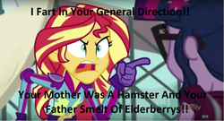 Size: 1277x688 | Tagged: safe, edit, edited screencap, imported from derpibooru, screencap, sci-twi, sunset shimmer, twilight sparkle, equestria girls, friendship games, caption, image macro, meme, monty python, monty python and the holy grail, sunset yells at twilight