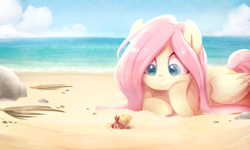 Size: 1077x648 | Tagged: safe, artist:jumblehorse, deleted from derpibooru, imported from derpibooru, fluttershy, pegasus, pony, beach, colored pupils, cute, female, folded wings, hermit crab, horizon, looking at something, lying down, mare, ocean, prone, shyabetes, solo