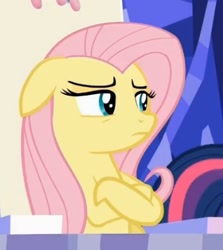 Size: 421x473 | Tagged: safe, imported from derpibooru, screencap, fluttershy, pegasus, pony, 28 pranks later, crossed hooves, cute, female, floppy ears, mare, peeved, shyabetes, sitting, unamused