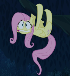 Size: 417x449 | Tagged: safe, imported from derpibooru, screencap, fluttershy, pegasus, pony, sloth, 28 pranks later, behaving like a sloth, female, mare, solo, tree