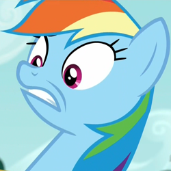 Size: 1000x1000 | Tagged: safe, imported from derpibooru, screencap, rainbow dash, pony, 28 pranks later, season 6, do not want, female, mare, reaction image, shocked, solo