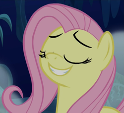 Size: 885x806 | Tagged: safe, imported from derpibooru, screencap, fluttershy, pony, 28 pranks later, season 6, eyes closed, faic, female, mare, smugshy, solo