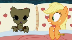 Size: 840x473 | Tagged: safe, edit, edited screencap, imported from derpibooru, screencap, applejack, 28 pranks later, applejack's bed partner, bed, exploitable meme, katia managan, meme, pillow, prequel (webcomic)