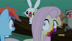 Size: 1280x720 | Tagged: safe, imported from derpibooru, screencap, angel bunny, fluttershy, rainbow dash, pony, 28 pranks later, cookie zombie, discovery family logo, rainbow muzzle