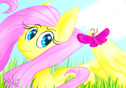 Size: 1000x700 | Tagged: safe, artist:jadehellfire, imported from derpibooru, fluttershy, butterfly, female, grass, looking at you, solo, spread wings