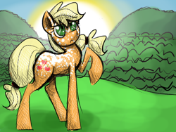 Size: 800x600 | Tagged: safe, artist:sallindaemon, imported from derpibooru, applejack, alternate design, appaloosa, female, newbie artist training grounds, solo, sunrise