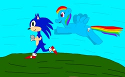 Size: 1775x1096 | Tagged: safe, artist:bliknia, imported from derpibooru, rainbow dash, crossover, sonic the hedgehog, sonic the hedgehog (series)