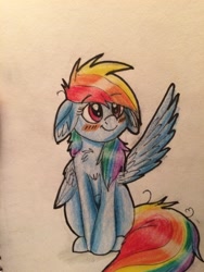 Size: 3264x2448 | Tagged: safe, artist:snowfoxythefox, derpibooru exclusive, imported from derpibooru, rainbow dash, blushing, chest fluff, chibi, colored, colored pencil drawing, colored sketch, cute, dashabetes, female, floppy ears, smiling, solo, traditional art, wingboner, wings, young