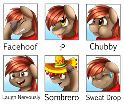 Size: 2349x1978 | Tagged: safe, artist:pridark, imported from derpibooru, oc, oc only, oc:winterlight, pegasus, pony, avatar, chubby, chubby cheeks, clothes, cute, dreamworks face, expression, expressions, face, face picture, facehoof, male, nervous, puffy cheeks, scarf, silly, silly face, sombrero, stallion