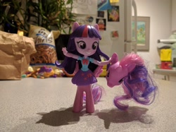Size: 4000x2992 | Tagged: safe, imported from derpibooru, twilight sparkle, centaur, equestria girls, centaur twilight, clothes, doll, equestria girls minis, eqventures of the minis, irl, photo, skirt, toy, what has magic done