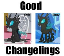 Size: 884x764 | Tagged: safe, imported from derpibooru, kevin (changeling), thorax, changeling, slice of life (episode), the times they are a changeling, kevin, the wandering changelings