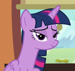 Size: 484x459 | Tagged: safe, imported from derpibooru, screencap, twilight sparkle, alicorn, pony, the times they are a changeling, cropped, discovery family logo, female, lidded eyes, mare, solo, twilight sparkle (alicorn)