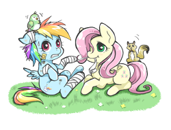 Size: 1200x916 | Tagged: safe, artist:hobilo, imported from derpibooru, fluttershy, rainbow dash, bird, squirrel, bandage, caring, duo, flower, frazzled, injured