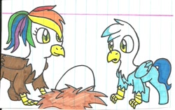 Size: 921x578 | Tagged: safe, artist:cmara, imported from derpibooru, oc, oc only, oc:gren, oc:rainbow feather, classical hippogriff, griffon, hippogriff, brother and sister, colt, cute, egg, foal, interspecies offspring, lined paper, magical lesbian spawn, male, offspring, parent:gilda, parent:rainbow dash, parents:gildash, traditional art