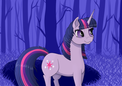 Size: 900x636 | Tagged: safe, artist:fia94, imported from derpibooru, twilight sparkle, female, forest, solo