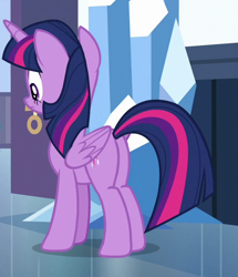 Size: 508x590 | Tagged: safe, imported from derpibooru, screencap, twilight sparkle, alicorn, pony, the times they are a changeling, butt, cropped, female, mare, plot, twilight sparkle (alicorn)