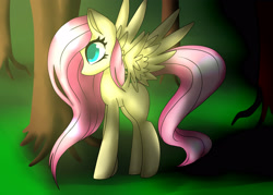 Size: 2800x2000 | Tagged: safe, artist:alexayume, imported from derpibooru, fluttershy, pegasus, pony, female, long mane, long tail, mare, solo, spread wings, wings